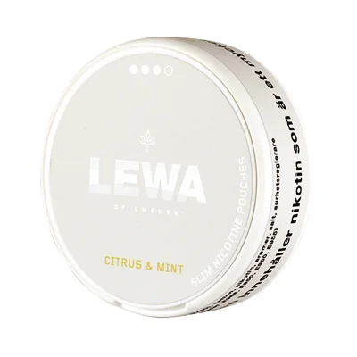 LEWA Burn Citrus & Mint Strong