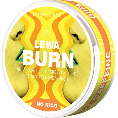 LEWA Citrus & Mint Nikotinfritt
