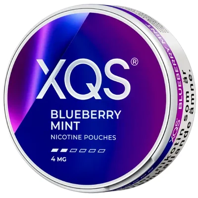 XQS Blueberry Mint Slim 4 MG