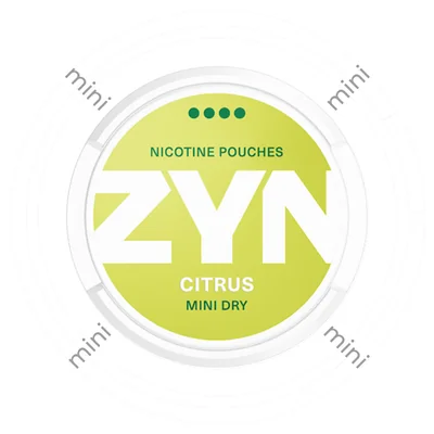 Zyn Citrus Mini Dry 4